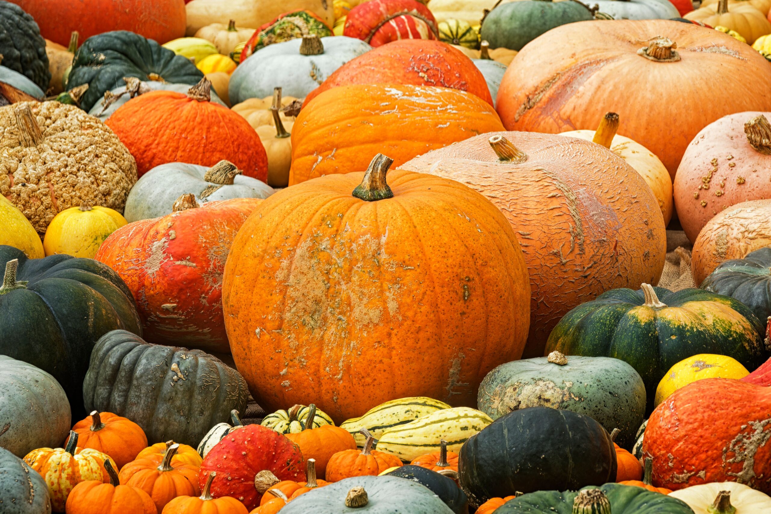 GITE DI UN GIORNO OTTOBRE 2026